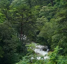 Фото дня 6 тура Тур в Северную Корею из Владивостока ( с перелетом)