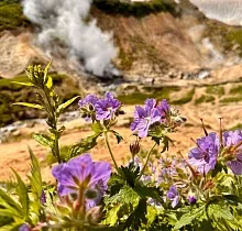 ополнительное фото тура 