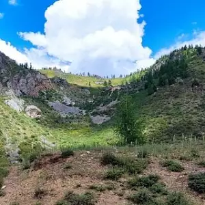 Фото отзыва