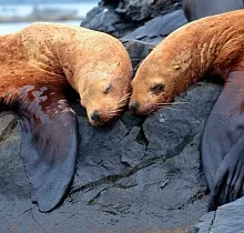 ополнительное фото тура 