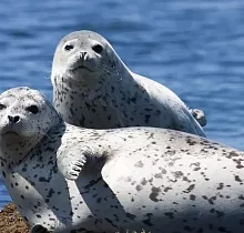 ополнительное фото тура 