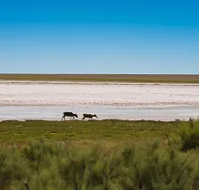 ополнительное фото тура 