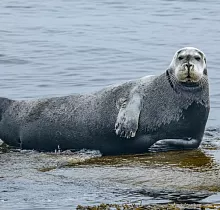 ополнительное фото тура 