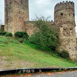 Фото отзыва