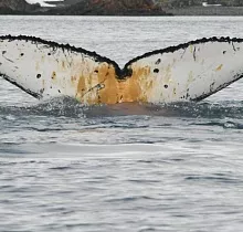 ополнительное фото тура 