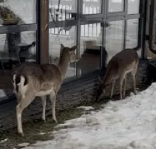 ополнительное фото тура 