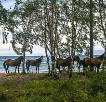 ополнительное фото тура 