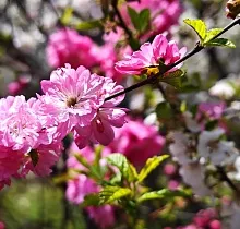 ополнительное фото тура 