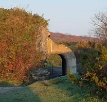 Фото дня 4 тура «Приморский микс» сезон: зима-весна — осень