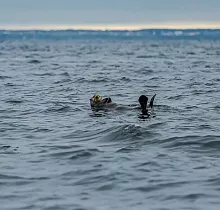 ополнительное фото тура 