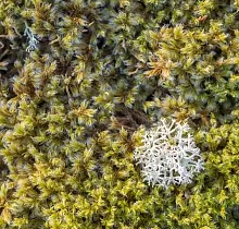 ополнительное фото тура 