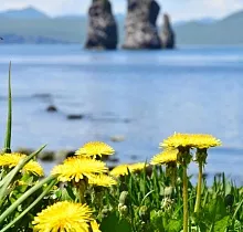 ополнительное фото тура 