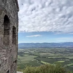 Фото отзыва