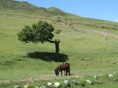 Дагестан глазами туристов