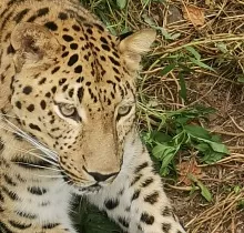 ополнительное фото тура 