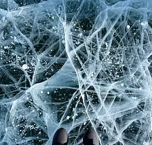 ополнительное фото тура 