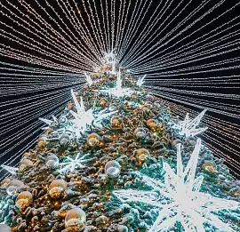 Тур Сияние Севера в новогодние праздники!