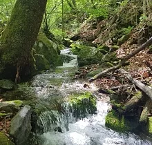 ополнительное фото тура 