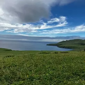 Фото отзыва