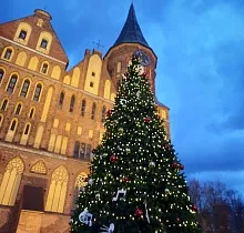 ополнительное фото тура 