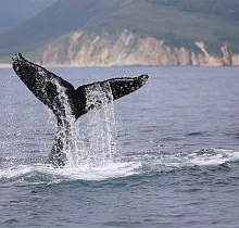 ополнительное фото тура 