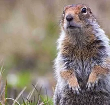 ополнительное фото тура 