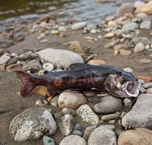 ополнительное фото тура 