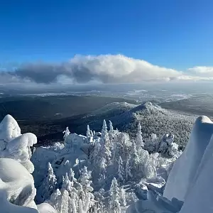 Фото отзыва
