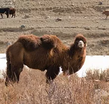 ополнительное фото тура 