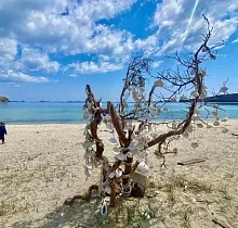 Фото дня 6 тура Ныряй в Приморье