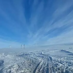 Фото отзыва