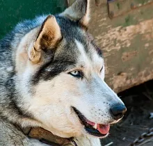 ополнительное фото тура 