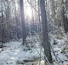 ополнительное фото тура 