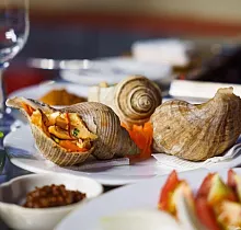 Место проживания в туре 