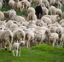 ополнительное фото тура 