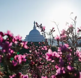 Тур Круиз-экспедиция "Пробуждение Байкала"