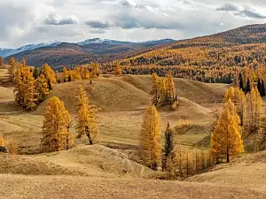 Осень на Алтае