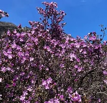 ополнительное фото тура 