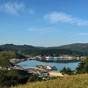 Фото отзыва