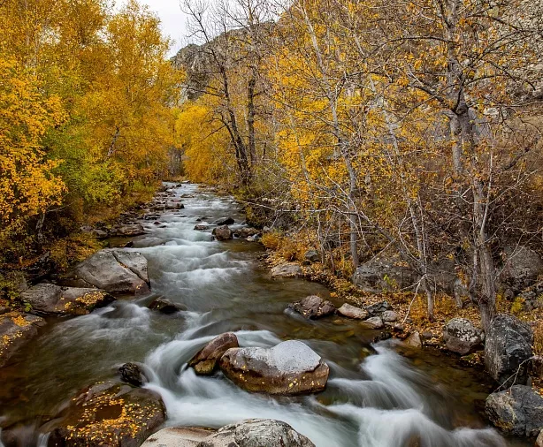 Изображение статьи Фотопутешествие на Горный Алтай из Москвы, золотая осень, 7 дней. Личный опыт Туры России