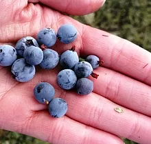 ополнительное фото тура 