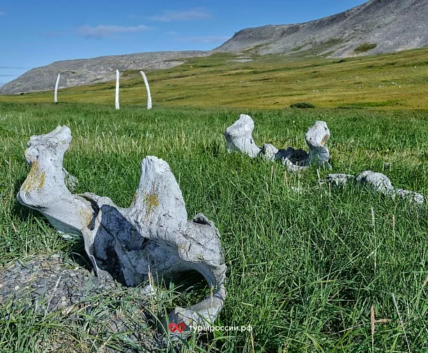 Изображение статьи Национальный парк «Берингия» — как добраться, где жить, что посмотреть Туры России