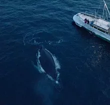 ополнительное фото тура 