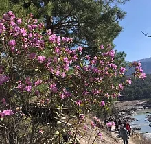 ополнительное фото тура 