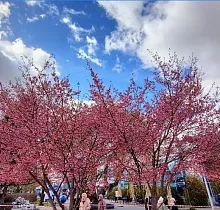 ополнительное фото тура 