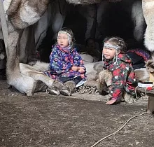 Фото дня 4 тура Наблюдение за промыслом, Мыс Дежнева
