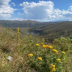 Фото отзыва