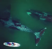 ополнительное фото тура 