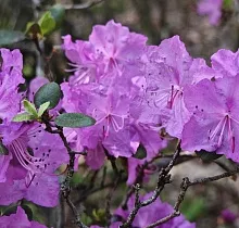 ополнительное фото тура 