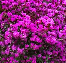 ополнительное фото тура 